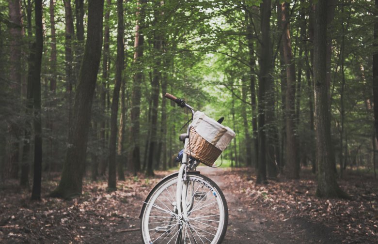 Un vélo dans la forêt